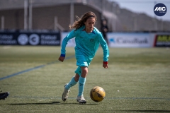 MIC24_U12A_FCB_NLS_DS-31