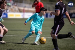 MIC24_U12A_FCB_NLS_DS-33