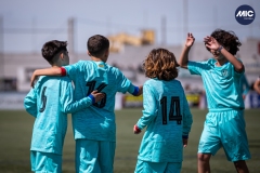 MIC24_U12A_FCB_NLS_DS-46