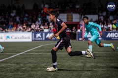 MIC24_U12A_FCB_NLS_DS-50