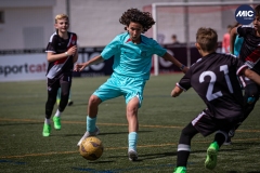 MIC24_U12A_FCB_NLS_DS-55