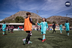 MIC24_U12A_FCB_NLS_DS-60