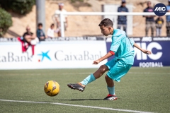 MIC24_U12A_FCB_NLS_DS-7