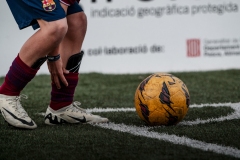 U12A_BARCA_VIC-16