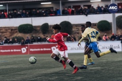 MIC22_U12A_MUD_GSB_DM-5