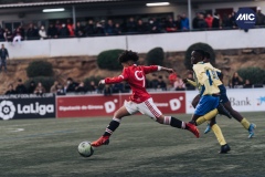 MIC22_U12A_MUD_GSB_DM-6
