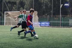 MIC22_U12A_PER_BAR_DM-10