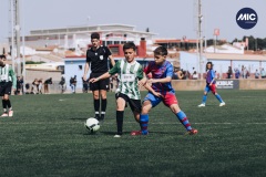 MIC22_U12A_PER_BAR_DM-32