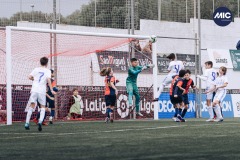 MIC22_U12A_RMD_UEQ_DM-28