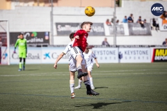 MIC24_U12A_RMCF_MANU_DS-60