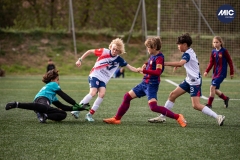 MIC24_U12B_FCB_PSI_DS-11