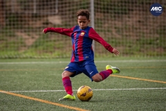 MIC24_U12B_FCB_PSI_DS-15