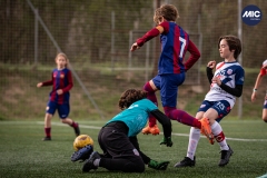 MIC24_U12B_FCB_PSI_DS-16