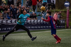 MIC24_U12B_FCB_PSI_DS-2