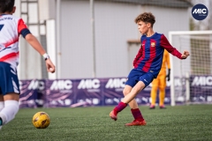 MIC24_U12B_FCB_PSI_DS-20