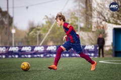 MIC24_U12B_FCB_PSI_DS-22