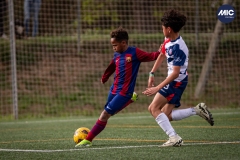 MIC24_U12B_FCB_PSI_DS-24