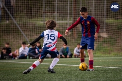 MIC24_U12B_FCB_PSI_DS-29