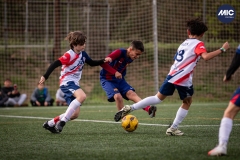 MIC24_U12B_FCB_PSI_DS-30