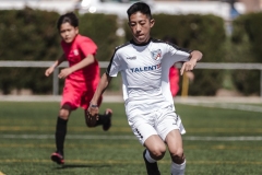 Torneig Nord 2023