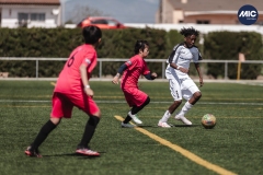 Torneig Nord 2023