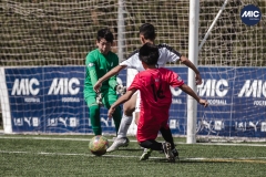 Torneig Nord 2023