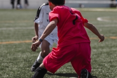 Torneig Nord 2023