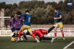Torneig Nord 2023