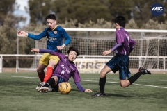 Torneig Nord 2023