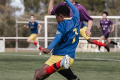 Torneig Nord 2023