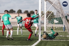 Torneig Nord 2023