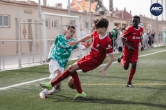 Torneig Nord 2023