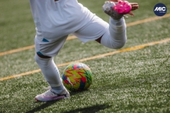 Torneig Nord 2023