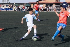 MIC22_U15_OLM_ALB_DM-16