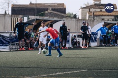 MIC22_U15_OLM_ALB_DM-8