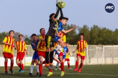 MIC22_U13_FIG_CAS_AG_11