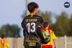 MIC22_U13_FIG_CAS_AG_23