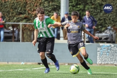 MIC22_U14_CFP_CCA_DS-17