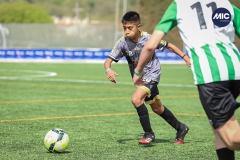 MIC22_U14_CFP_CCA_DS-19