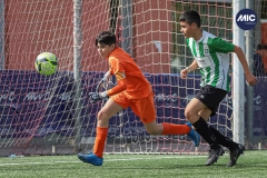 MIC22_U14_CFP_CCA_DS-20