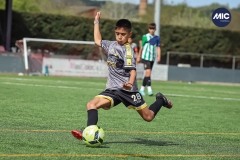 MIC22_U14_CFP_CCA_DS-25