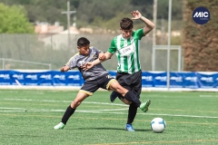MIC22_U14_CFP_CCA_DS-34