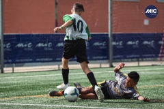 MIC22_U14_CFP_CCA_DS-36