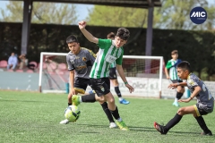 MIC22_U14_CFP_CCA_DS-5