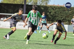 MIC22_U14_CFP_CCA_DS-6