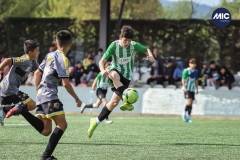 MIC22_U14_CFP_CCA_DS-8