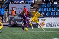 MIC24_FCB_SAR_DS-12