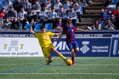 MIC24_FCB_SAR_DS-13