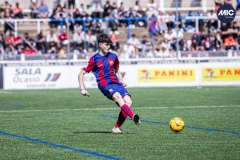 MIC24_FCB_SAR_DS-14