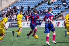 MIC24_FCB_SAR_DS-15